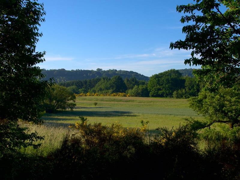 La boutonnière du Warndt Bisten-en-Lorraine Grand Est