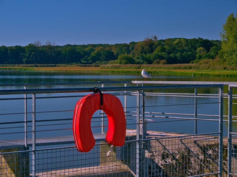 RANDONNÉE DE SEL ET D'EAU Dieuze Grand Est