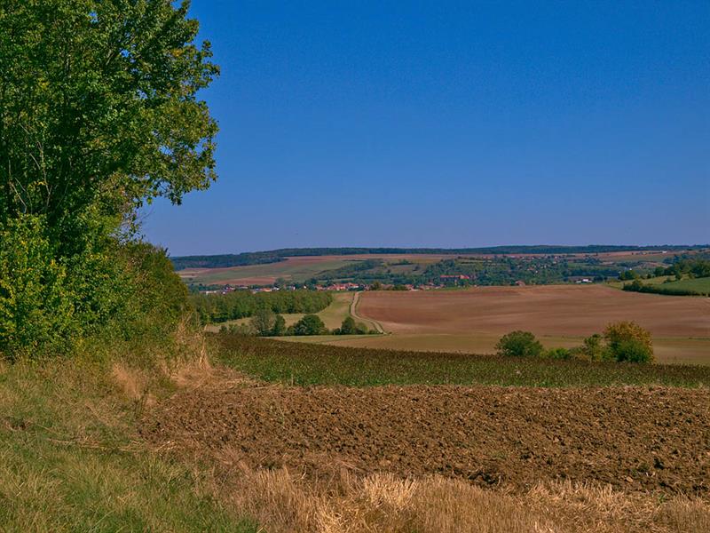 Les quatre vents Fresnes-en-Saulnois Grand Est