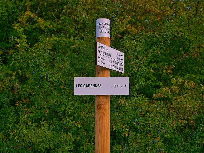 Liaison boucle de Sainte-Anne les coteaux d'Albestroff Albestroff Grand Est