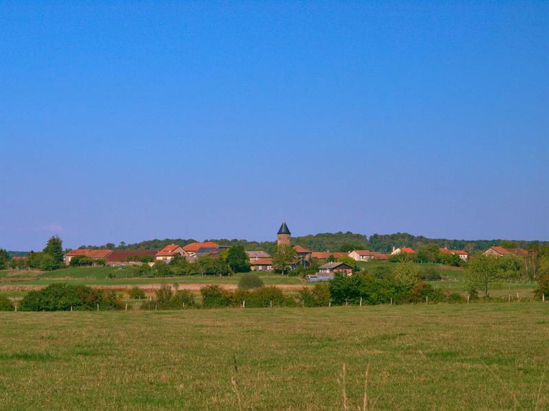 À VTT ET À CHEVAL AUTOUR DE DIEUZE Dieuze Grand Est