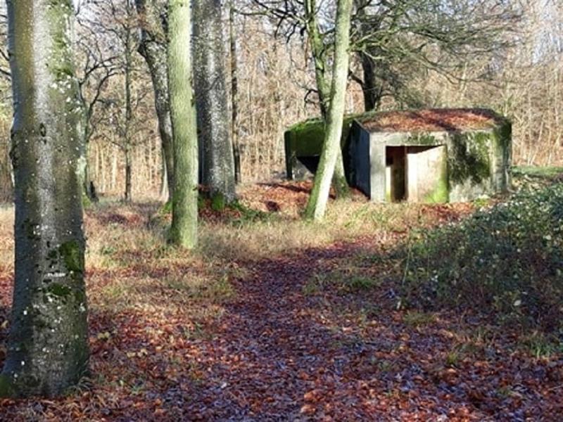 Route de la ligne Maginot aquatique Macheren Grand Est