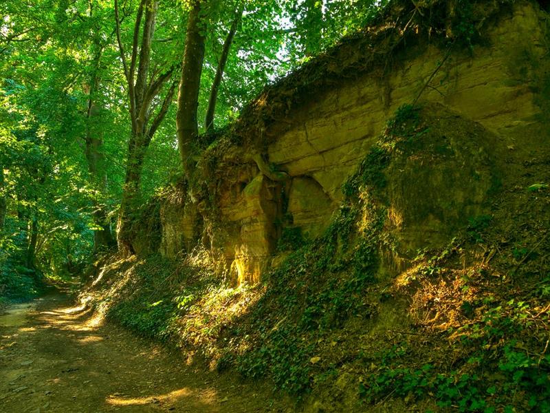 La source de Charlemagne en VTT Saint-Hubert Grand Est