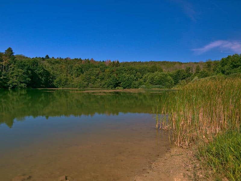 La voie de 60 en VTT Saint-Hubert Grand Est