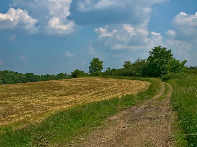 La haute vallée de la Canner Bettelainville Grand Est