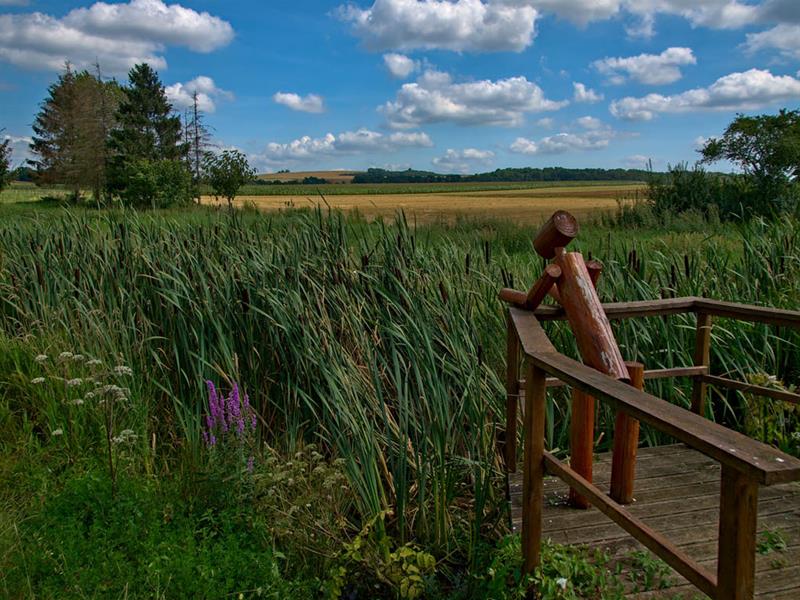 Boucle du bois de Chaumont Sailly-Achâtel Grand Est