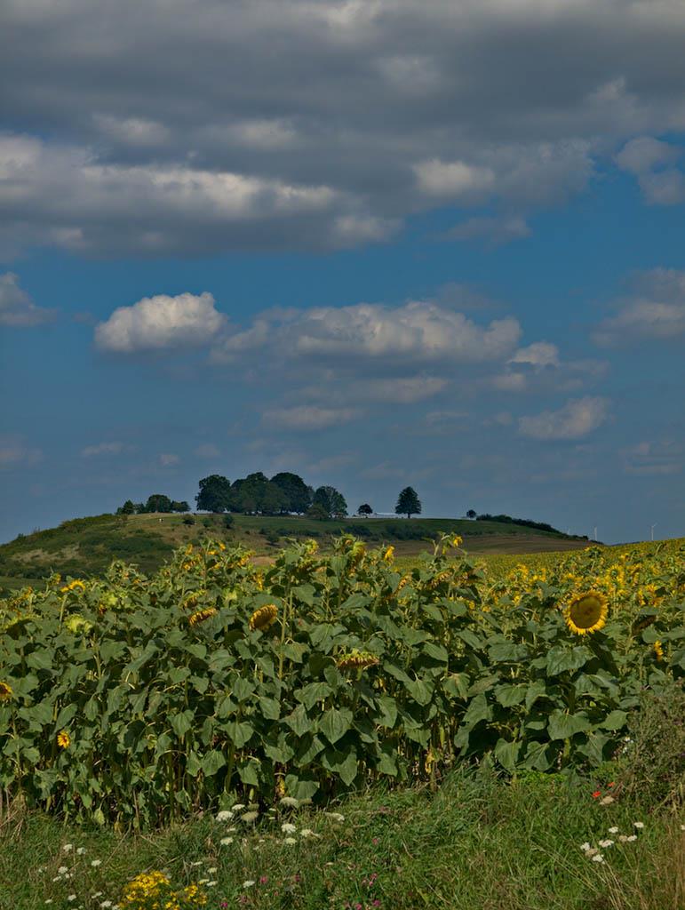 LE CHEMIN DU FEUGNOT Ancerville Grand Est