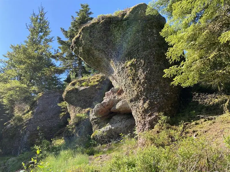 RANDONNÉE LES POUDINGUES ET LA ROCHE TOCQUAINE Remiremont Grand Est