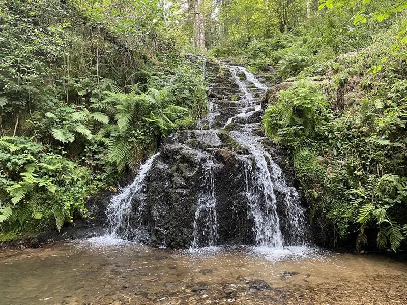 RANDONNÉE LA CASCADE DE FAYMONT Le Val-d'Ajol Grand Est