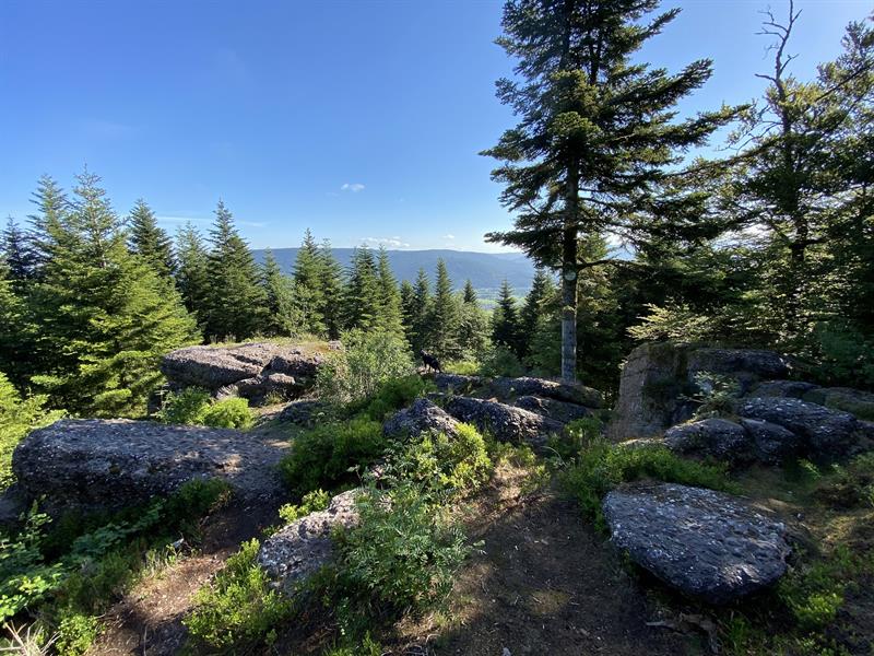 Randonnée circuit du massif de corroy Remiremont Grand Est Randonnée circuit du massif de corroy Remiremont Grand Est