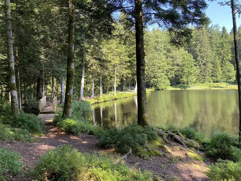 RANDONNÉE LA BEUILLE SUR LA LIGNE DE PARTAGE DES EAUX Girmont-Val-d'Ajol Grand Est