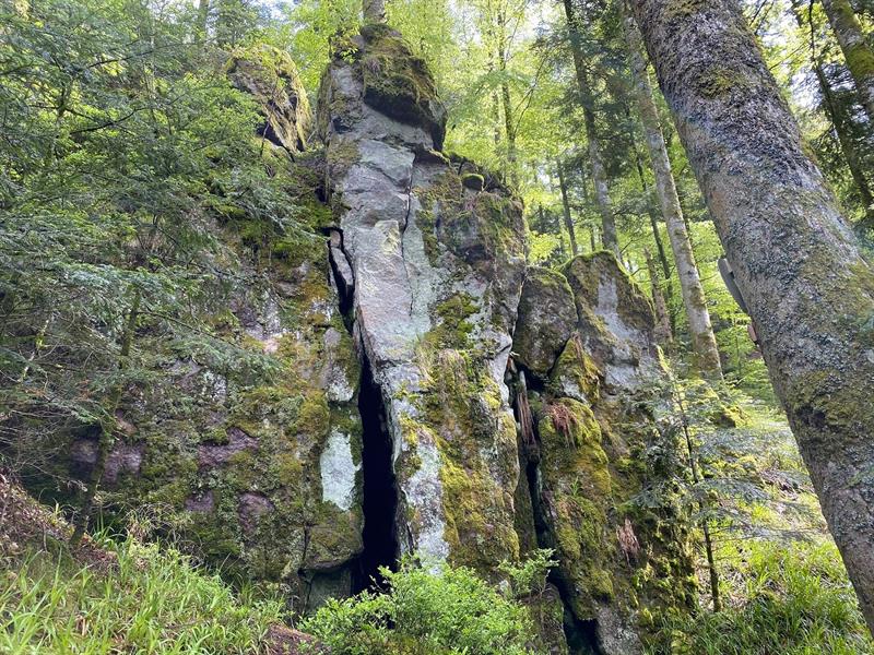 RANDONNÉE LES VIEILLES ABBAYES Girmont-Val-d'Ajol Grand Est