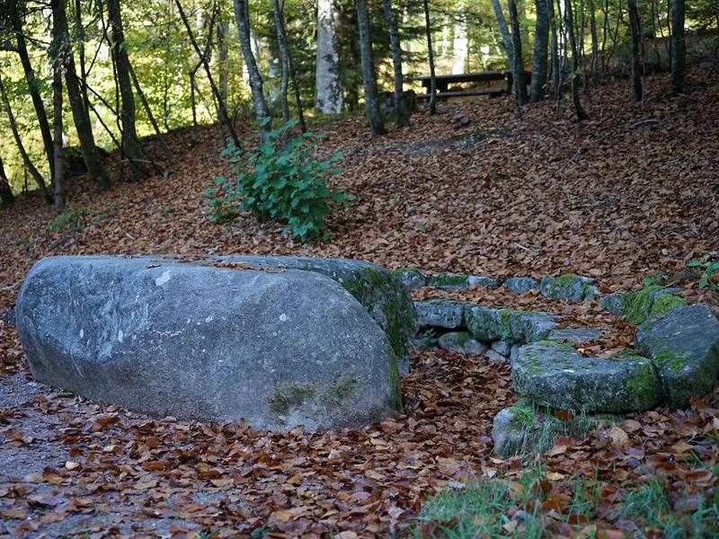 RANDONNÉE LES HAUTS DE SAINT-NABORD Saint-Nabord Grand Est