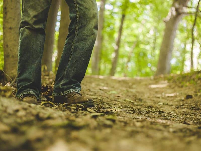 Randonnée pédestre à la découverte des mardelles Guessling-Hémering Grand Est