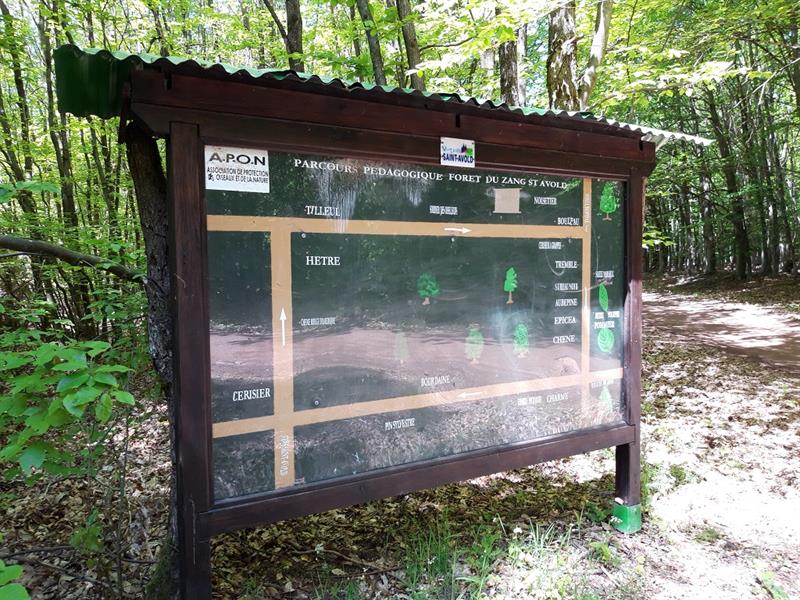 PARCOURS PÉDAGOGIQUE DE L'APON Saint-Avold Grand Est