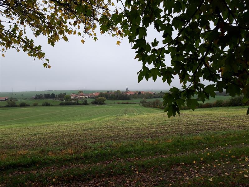 Circuit Walving Hémilly Grand Est