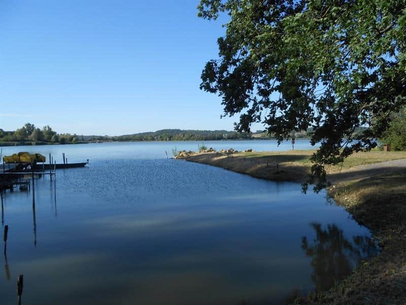 Randonnée pédestre autour de l'étang de la Mutche Morhange Grand Est