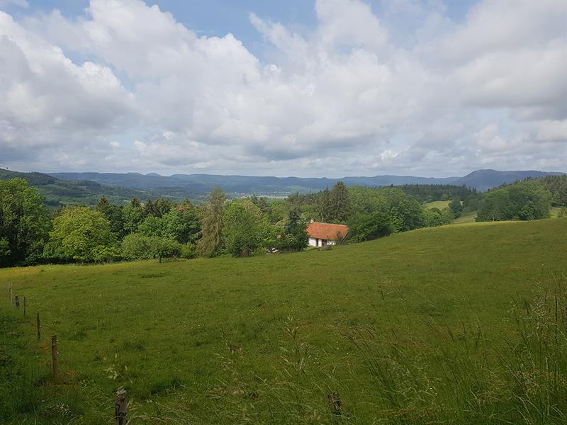 CIRCUIT DE LA TETE DE LA BEHOUILLE Ban-de-Laveline Grand Est