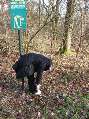 PARCOURS BOTANIQUE ET DE SANTÉ Grosbliederstroff Grand Est