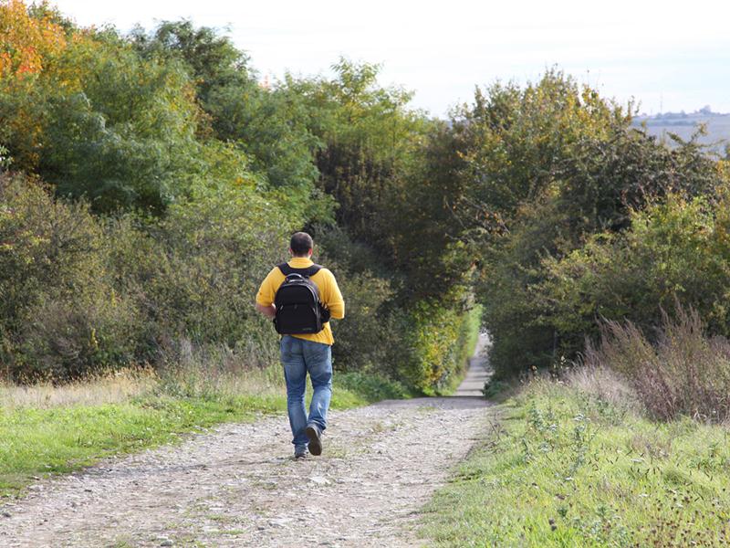 La voie romaine Wœlfling-lès-Sarreguemines Grand Est