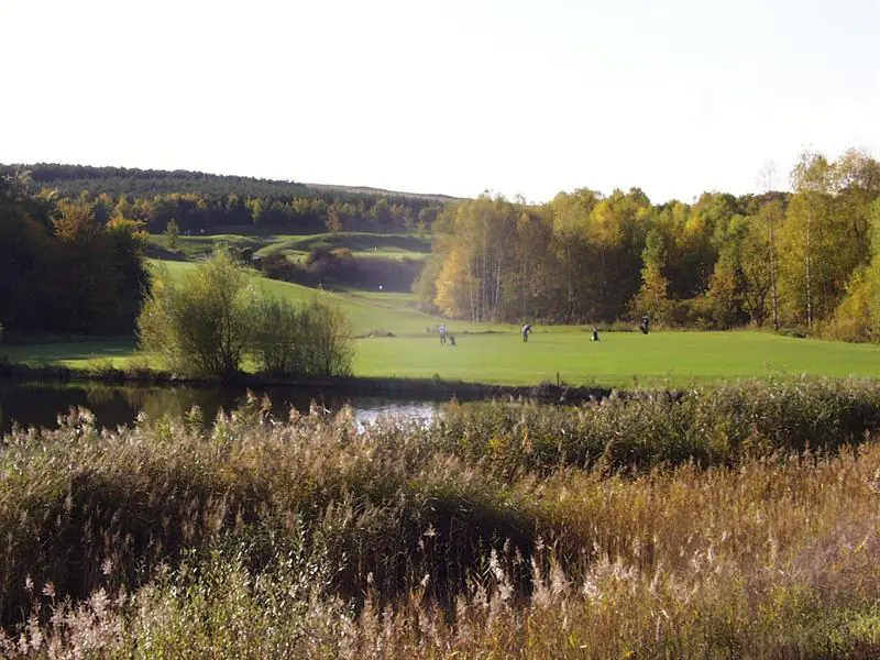 RÉSERVE NATURELLE SITE DU GOLF Sarreguemines Grand Est