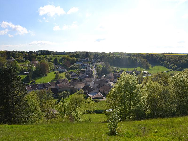 CIRCUIT DE LA PELOUSE CALCAIRE DE ROLLAINVILLE Neufchâteau Grand Est