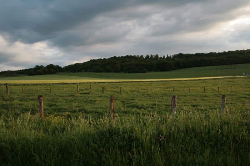 Circuit de la combe des enfants Coussey Grand Est