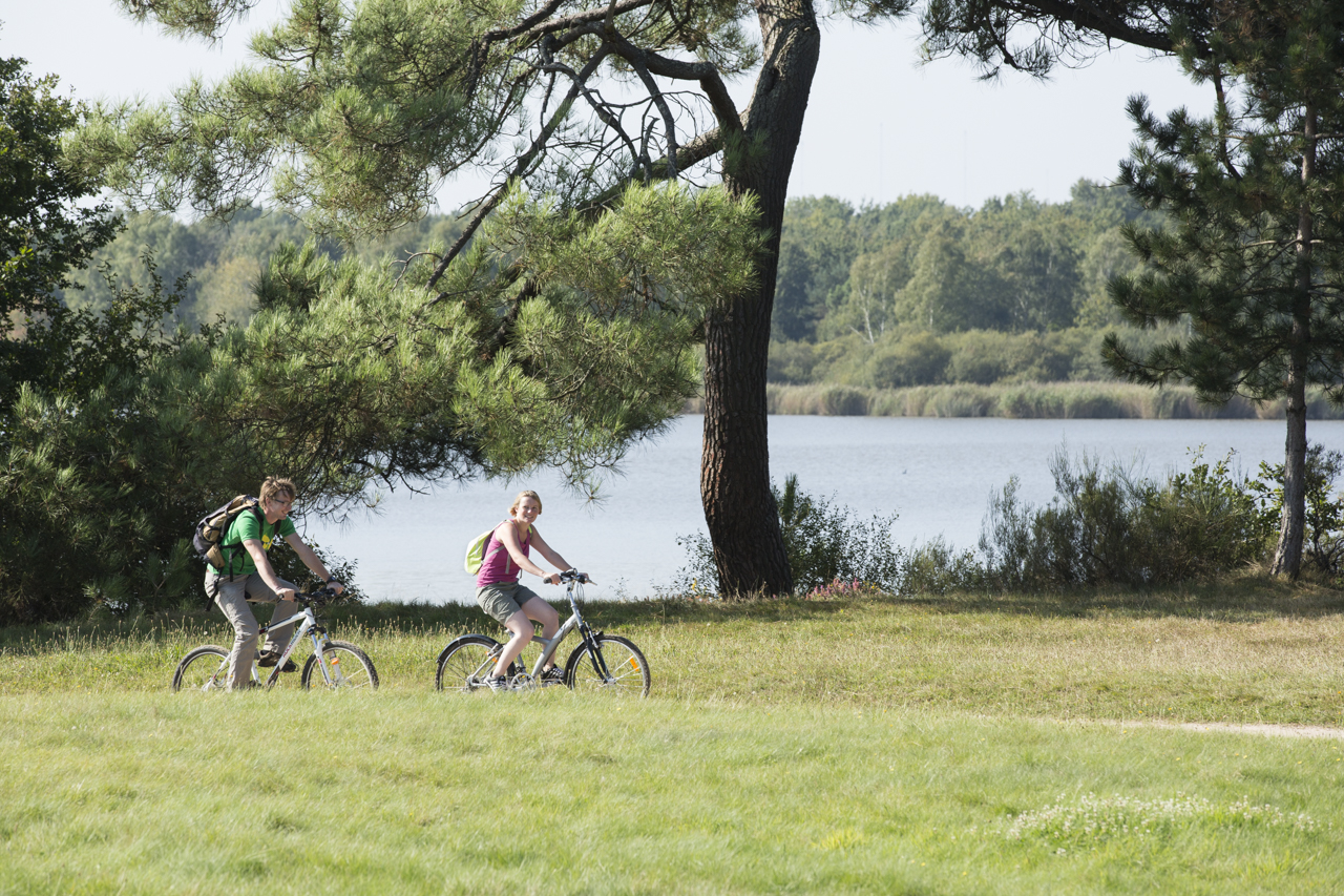 Circuit VTT De la forêt de Lancosme aux étangs Saint-Michel-en-Brenne Centre-Val de Loire