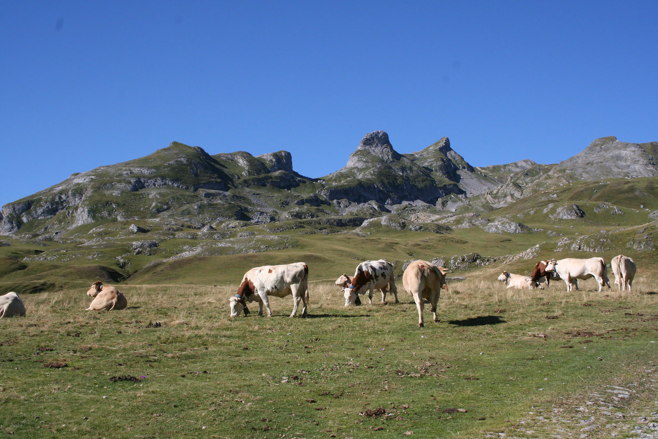 Le cirque d'Anéou Laruns Nouvelle-Aquitaine