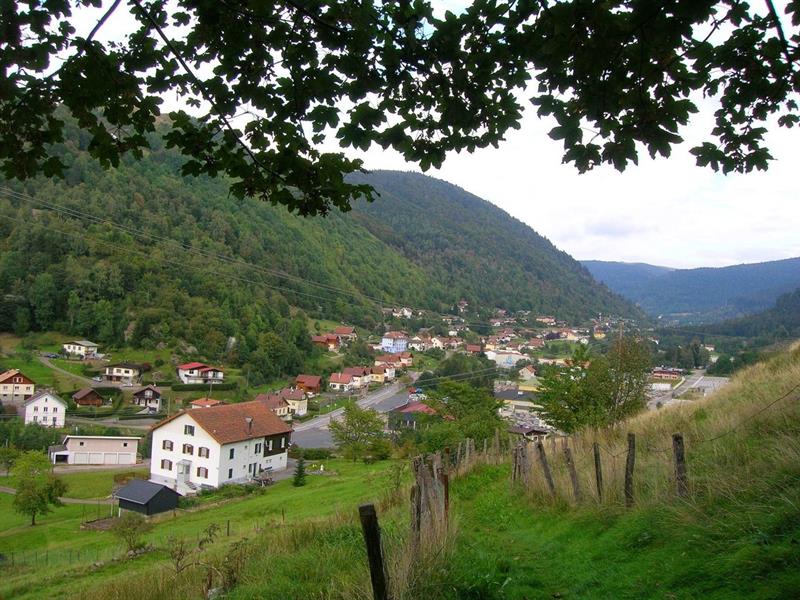 Arboretum de La Bresse La Bresse Grand Est