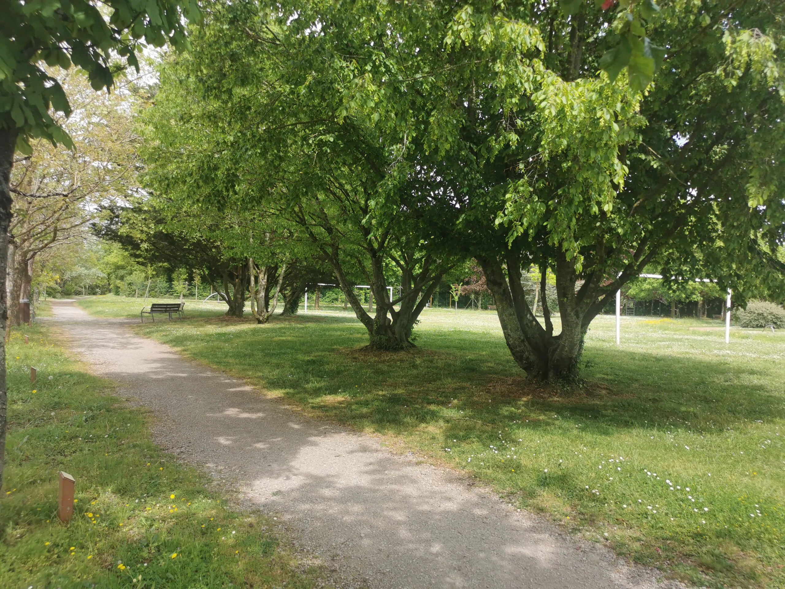 Arboretum Neuville-de-Poitou Nouvelle-Aquitaine