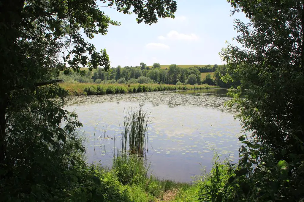 Sentier découverte du Vieil-Étang de Bairon Bairon et ses environs Grand Est