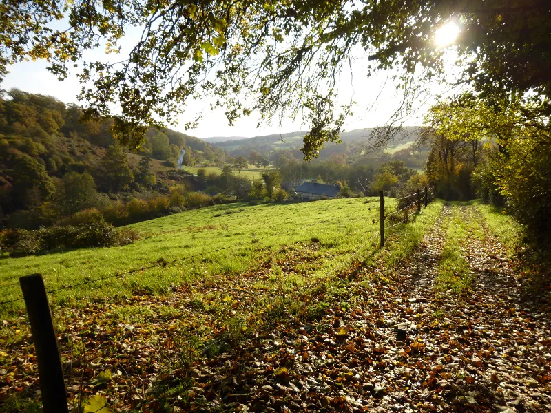 Balade en Terres de Druance Terres de Druance Normandie