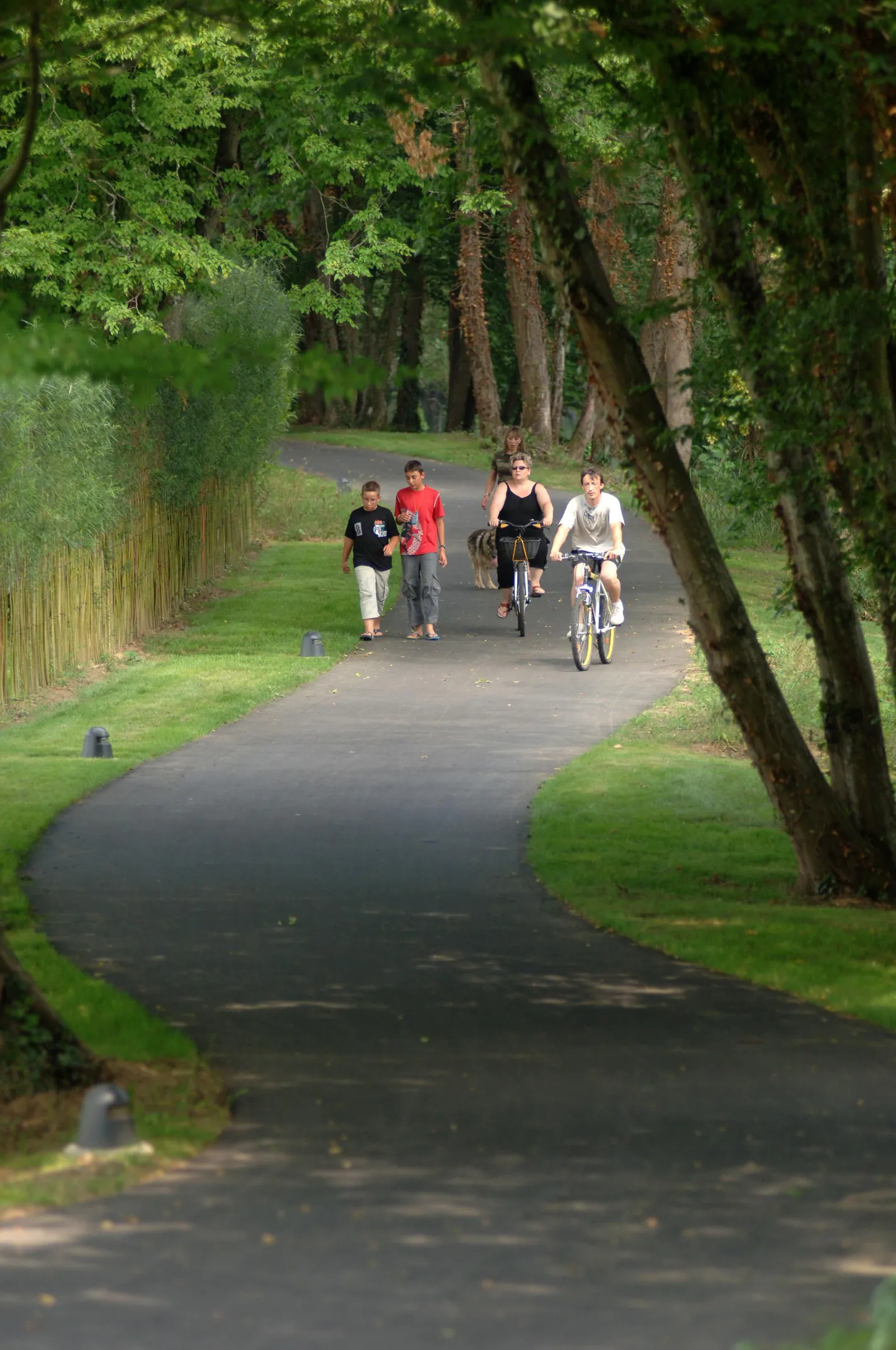 Pêcher sur l'Isle à Vélo Entre Trélissac