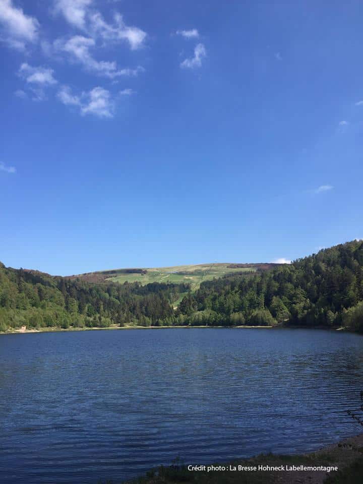 Balade pédestre en passant par la lande à La Bresse La Bresse Grand Est