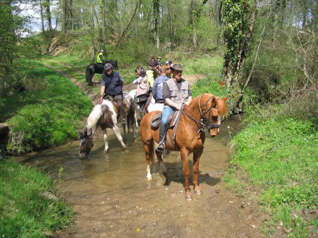 Chemins en Fête