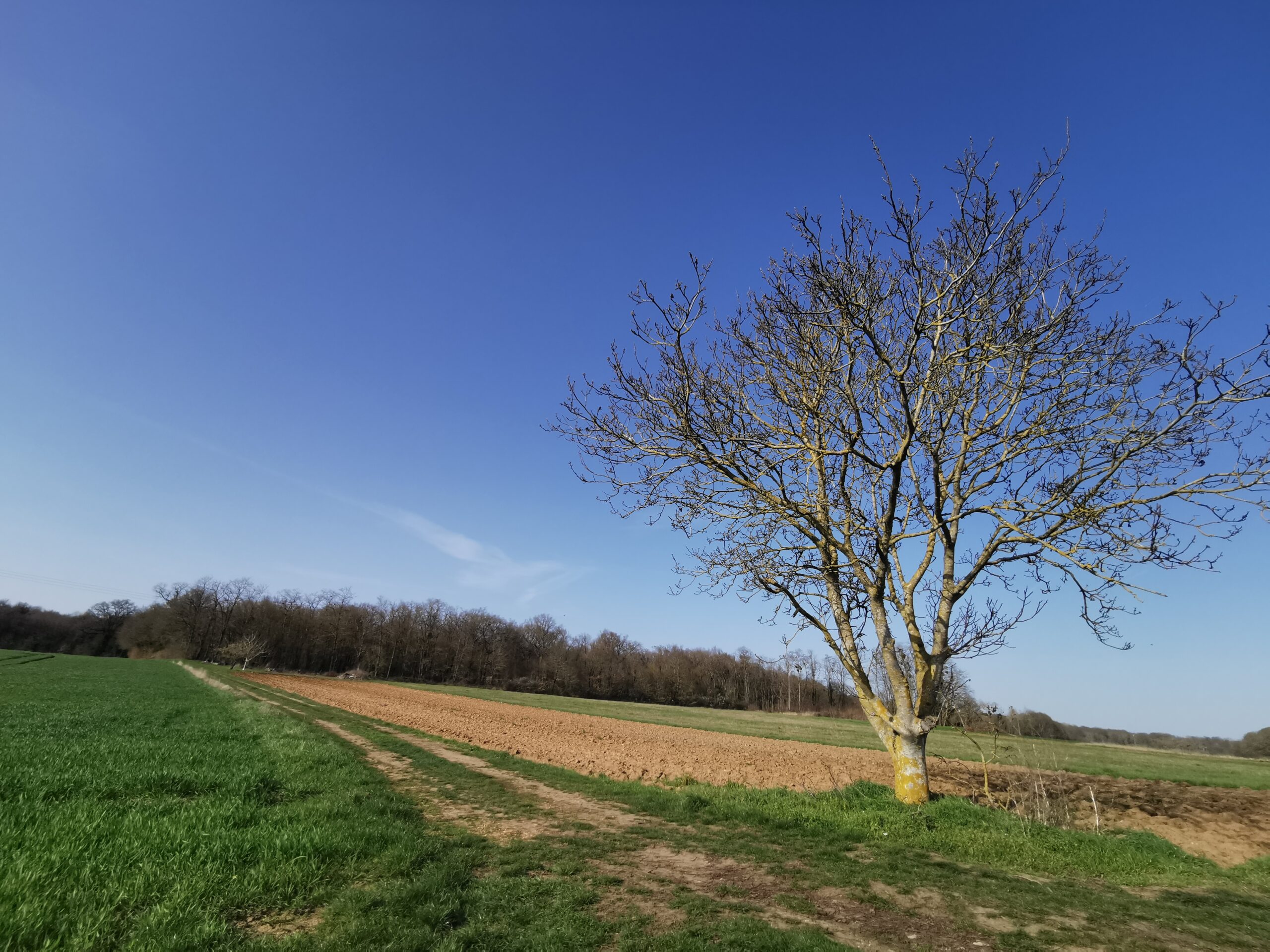 Circuit des Chemins Creux Chalandray Nouvelle-Aquitaine