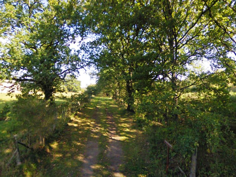 Balade de Colabrie 5 km Sully-la-Chapelle Centre-Val de Loire