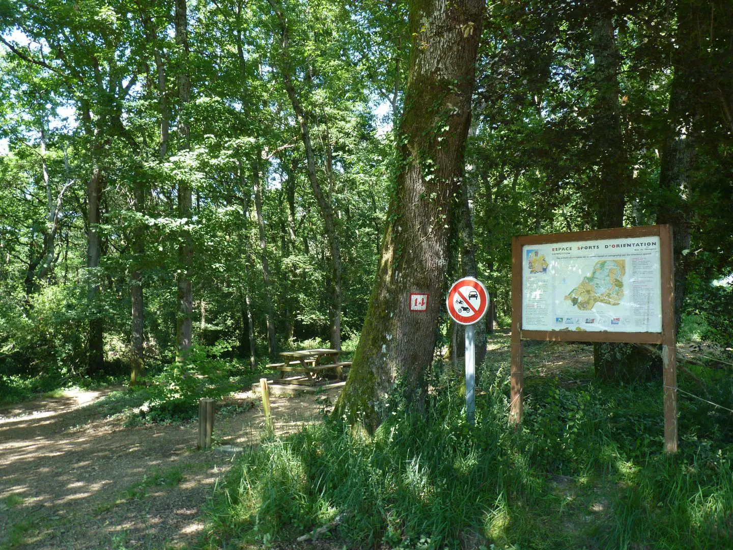 Le bois de Sauvagnon Sauvagnon Nouvelle-Aquitaine