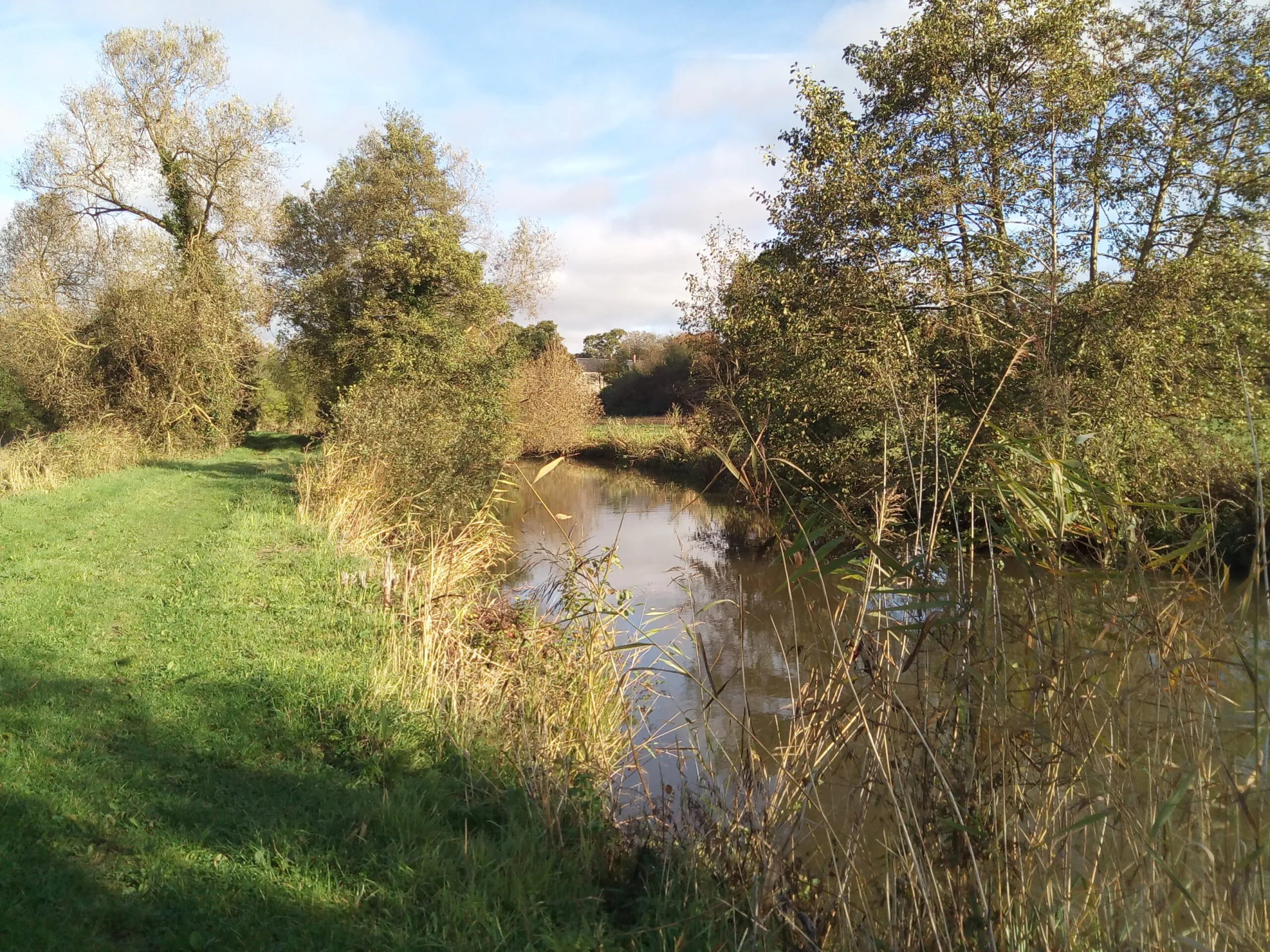 Les marais de Neuilly Isigny-sur-Mer Normandie