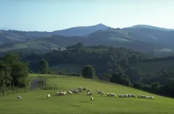 Le tour de Soule (cyclotourisme) Mauléon-Licharre Nouvelle-Aquitaine