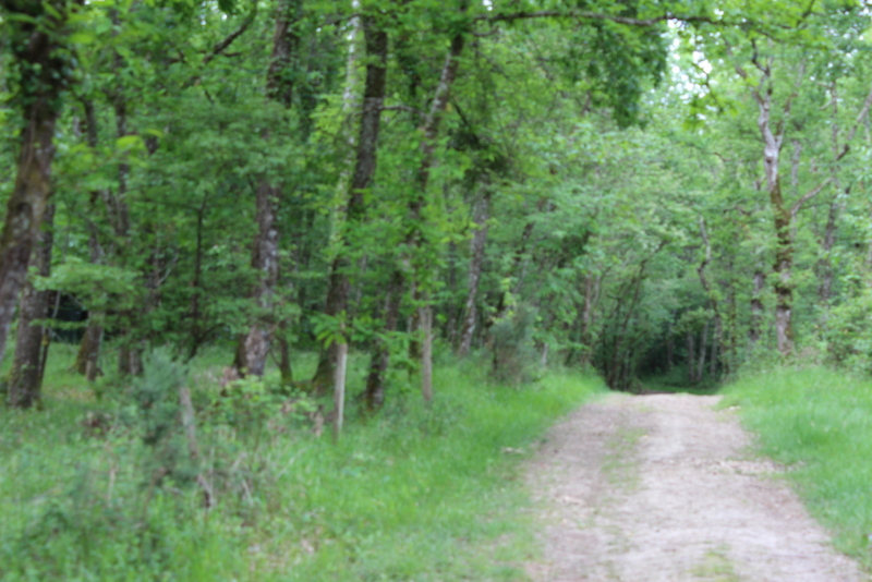 Boucle locale de Cayfas à Listrac-de-Durèze Listrac-de-Durèze Nouvelle-Aquitaine