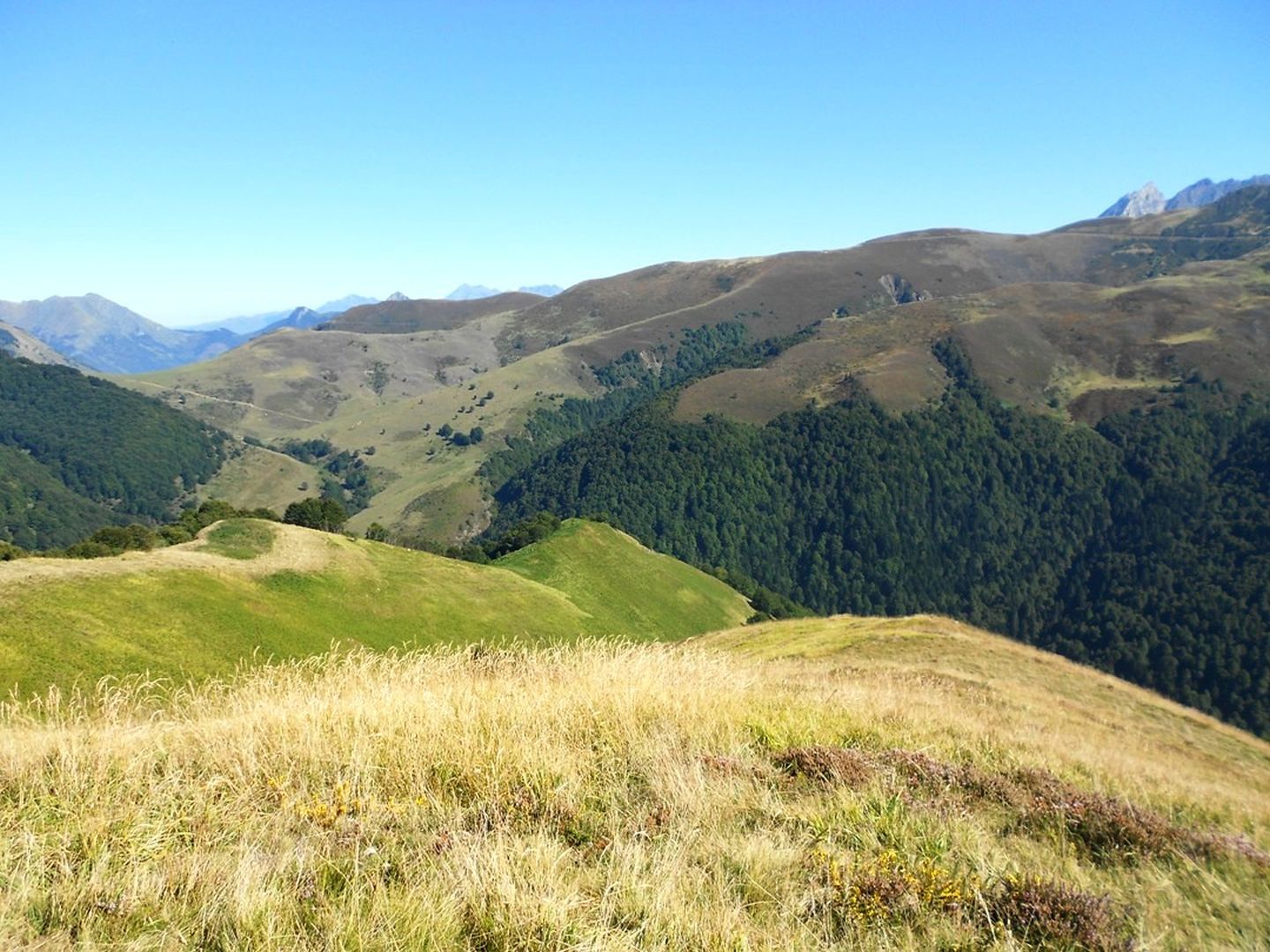 La boucle du Pic d'Auzu Aste-Béon Nouvelle-Aquitaine