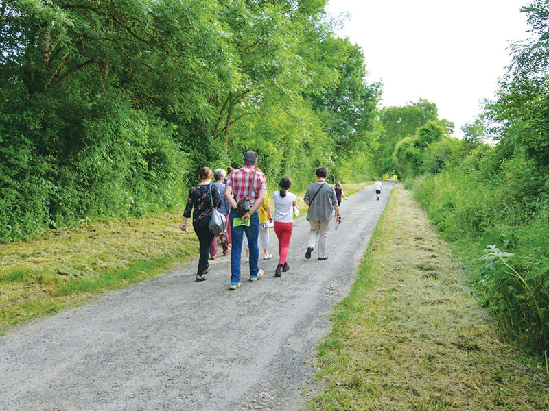 Visite "Sur la piste des animaux sauvages"