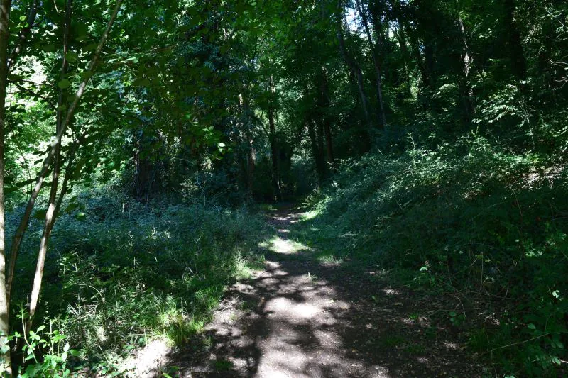 Espace naturel sensible La carrière de Ricou Azay-le-Brûlé Nouvelle-Aquitaine