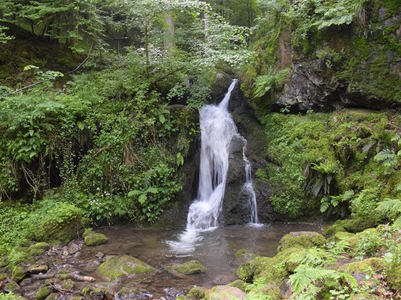 ECOBALADE Cascade du Bubalafels Moosch Grand Est