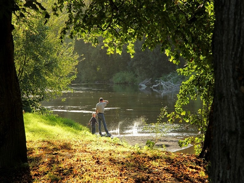 La mousse Thury-Harcourt-le-Hom Normandie