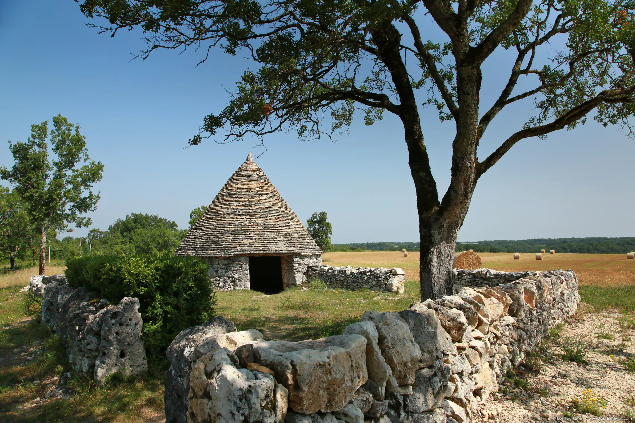 A la Découverte des Truffes Lalbenque Occitanie