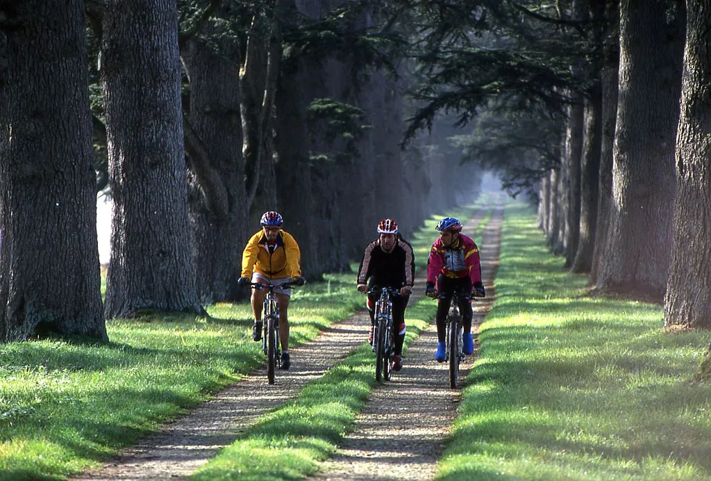 VTT PRADOULIN BLEU Lectoure Occitanie