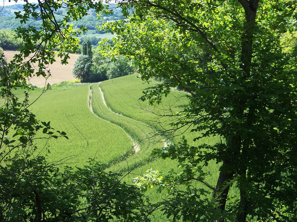 LE CIRCUIT DES COLLINES Riguepeu Occitanie